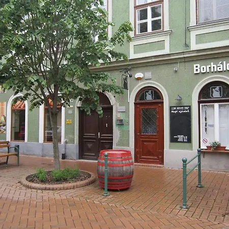 Galeria Szegedin